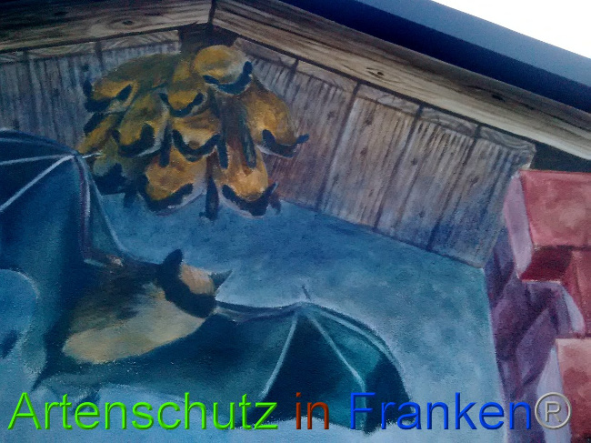 © Artenschutz in Franken® Bild zum Eintrag (1027990-160)