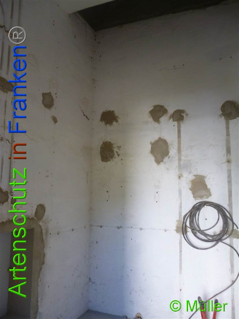 © Artenschutz in Franken® / Müller Bild zum Eintrag (1028084-160)