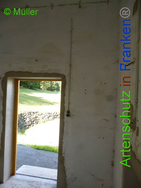 © Artenschutz in Franken® / Müller Bild zum Eintrag (1028086-160)