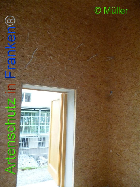 © Artenschutz in Franken® / Müller Bild zum Eintrag (1028087-160)