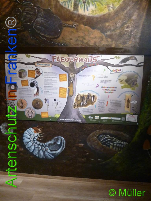 © Artenschutz in Franken® / Müller Bild zum Eintrag (1028101-160)
