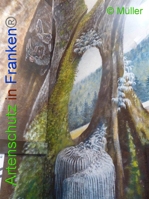 © Artenschutz in Franken® / Müller Bild zum Eintrag (1028103-160)