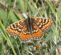 Copyright AiS / Udo Gerhardt Bild zum Eintrag (1028277-160)
