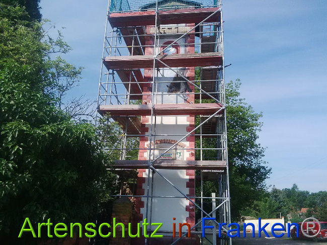 © Artenschutz in Franken® Bild zum Eintrag (1028396-160)