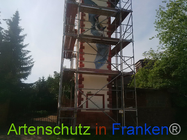 © Artenschutz in Franken® Bild zum Eintrag (1028398-160)