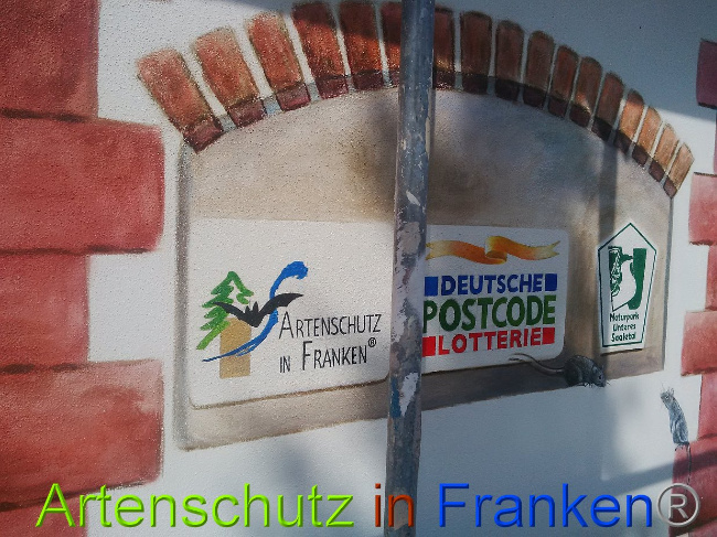 © Artenschutz in Franken® Bild zum Eintrag (1028404-160)