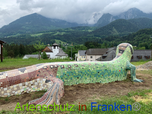 © Artenschutz in Franken® Bild zum Eintrag (1028417-160)