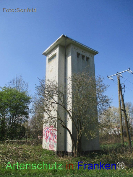 Bild zum Eintrag (102850-160)