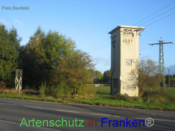 Bild zum Eintrag (102857-160)