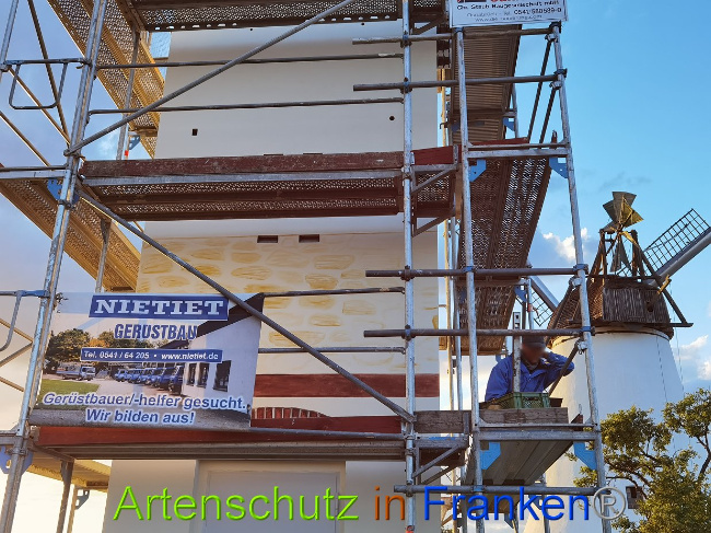 © Artenschutz in Franken® / Vennemann Bild zum Eintrag (1028612-160)