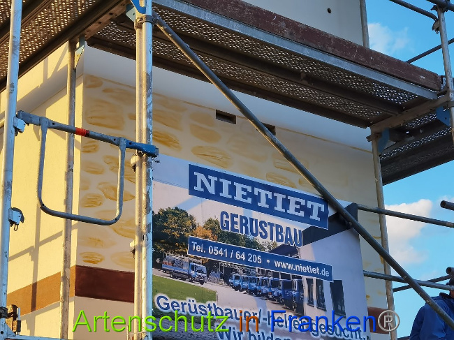 © Artenschutz in Franken® / Vennemann Bild zum Eintrag (1028613-160)