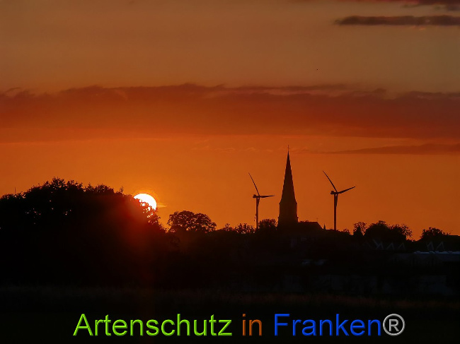 © Artenschutz in Franken® / Vennemann Bild zum Eintrag (1028620-160)