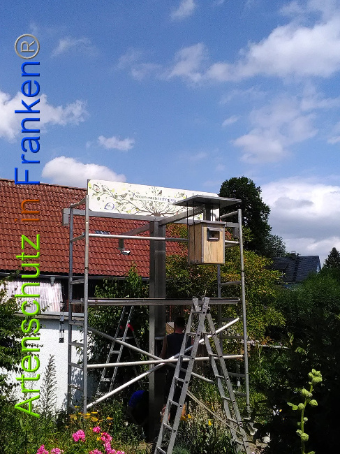 © Artenschutz in Franken® Bild zum Eintrag (1028657-160)