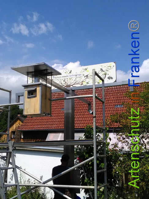 © Artenschutz in Franken® Bild zum Eintrag (1028660-160)