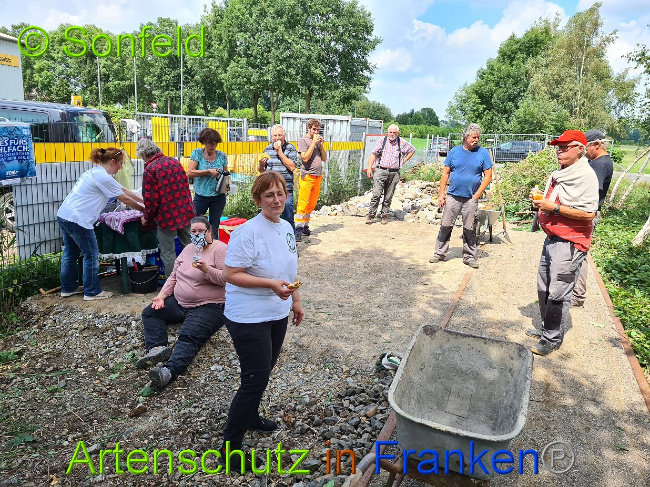 © Artenschutz in Franken® / Sonfeld Bild zum Eintrag (1028695-160)