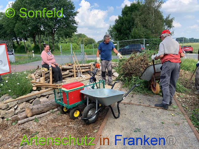 © Artenschutz in Franken® / Sonfeld Bild zum Eintrag (1028697-160)