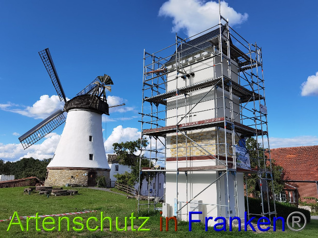 © Artenschutz in Franken® / Vennemann Bild zum Eintrag (1028745-160)