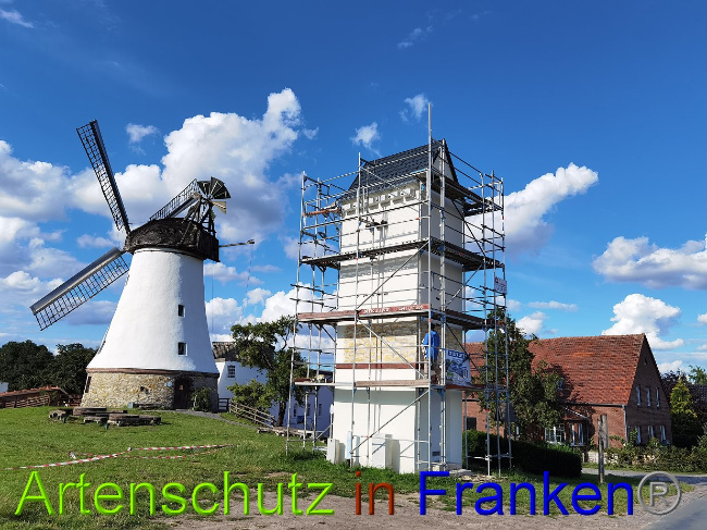 © Artenschutz in Franken® / Vennemann Bild zum Eintrag (1028746-160)