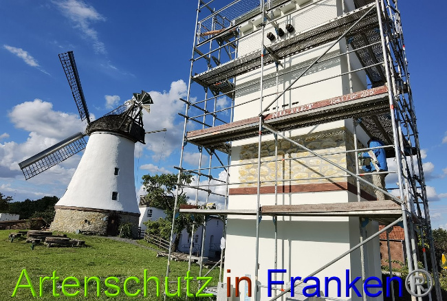 © Artenschutz in Franken® / Vennemann Bild zum Eintrag (1028747-160)