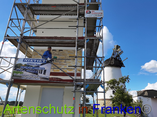 © Artenschutz in Franken® Bild zum Eintrag (1028749-160)