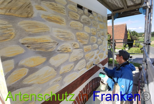 © Artenschutz in Franken® Bild zum Eintrag (1028750-160)