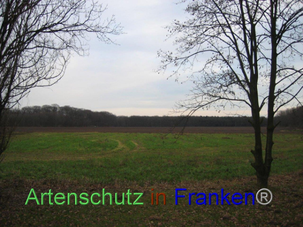 Bild zum Eintrag (102877-160)