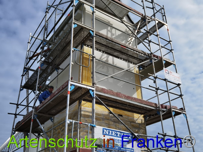 © Artenschutz in Franken® / Vennemann Bild zum Eintrag (1029002-160)