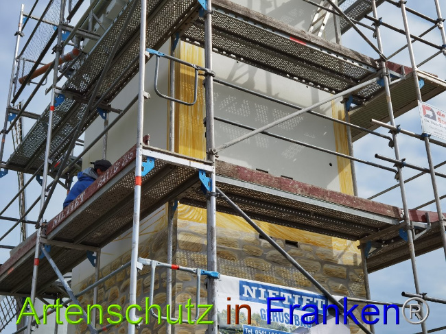 © Artenschutz in Franken® / Vennemann Bild zum Eintrag (1029003-160)