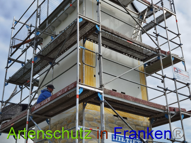 © Artenschutz in Franken® / Vennemann Bild zum Eintrag (1029004-160)