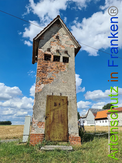 © Artenschutz in Franken® / Tasch - Dorfgemeinschaft Bild zum Eintrag (1029141-160)