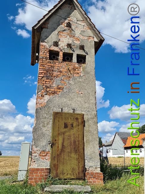 © Artenschutz in Franken® / Tasch - Dorfgemeinschaft Bild zum Eintrag (1029142-160)
