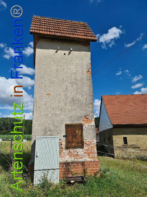 © Artenschutz in Franken® / Tasch - Dorfgemeinschaft Bild zum Eintrag (1029143-160)