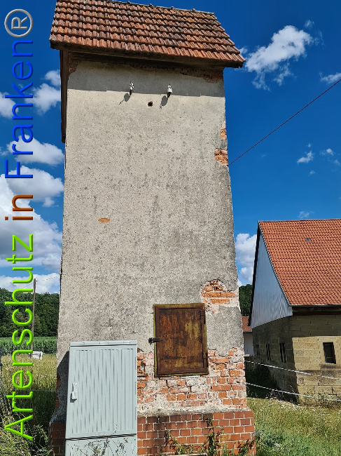 © Artenschutz in Franken® / Tasch - Dorfgemeinschaft Bild zum Eintrag (1029144-160)