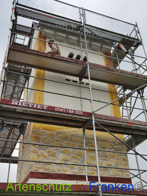 © Artenschutz in Franken® / Vennemann Bild zum Eintrag (1029218-160)