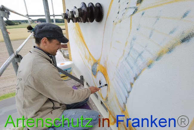© Artenschutz in Franken® / Vennemann Bild zum Eintrag (1029332-160)