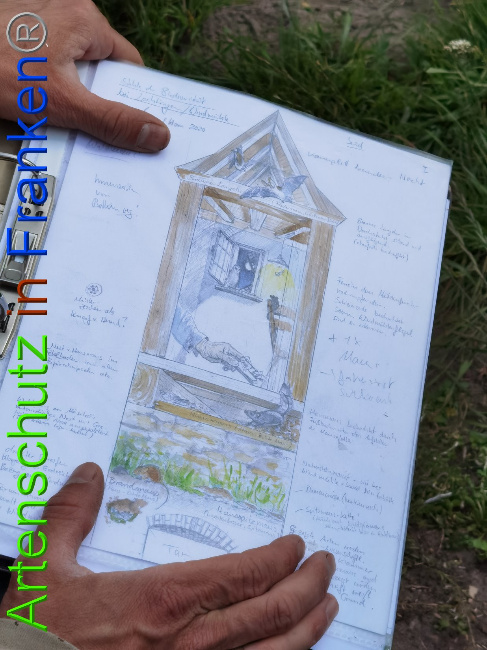 © Artenschutz in Franken® / Vennemann Bild zum Eintrag (1029337-160)
