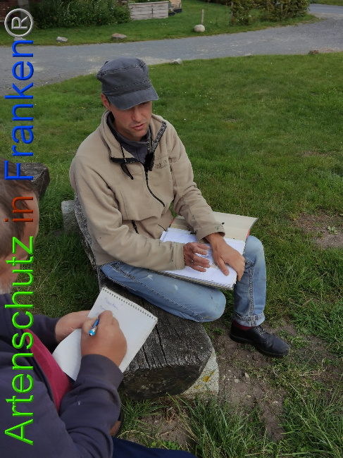 © Artenschutz in Franken® / Vennemann Bild zum Eintrag (1029339-160)