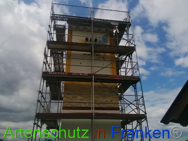 © Artenschutz in Franken® / Horn Bild zum Eintrag (1029348-160)