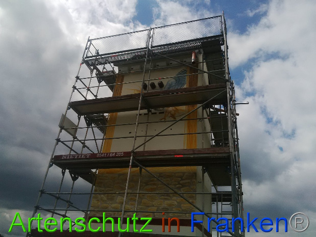 © Artenschutz in Franken® / Horn Bild zum Eintrag (1029349-160)