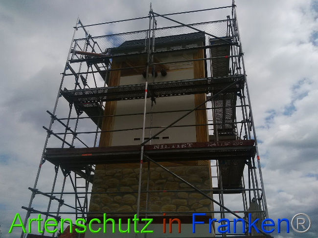© Artenschutz in Franken® / Horn Bild zum Eintrag (1029350-160)