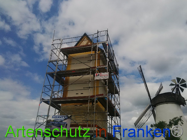 © Artenschutz in Franken® / Horn Bild zum Eintrag (1029351-160)
