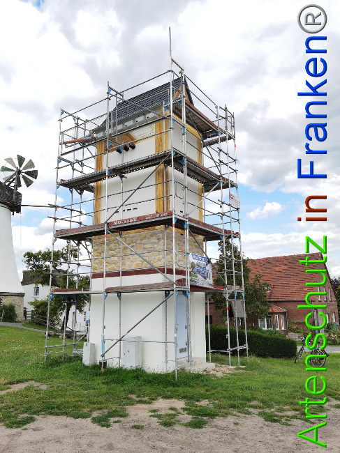 © Artenschutz in Franken® / Vennemann Bild zum Eintrag (1029371-160)