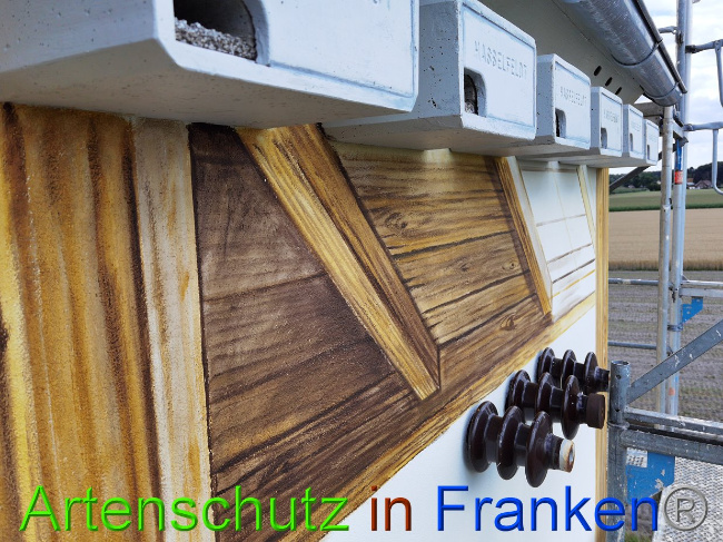 © Artenschutz in Franken® / Vennemann Bild zum Eintrag (1029375-160)