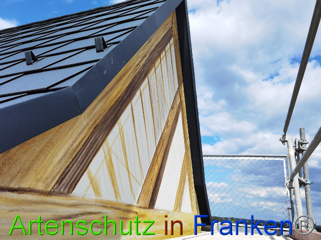 © Artenschutz in Franken® / Vennemann Bild zum Eintrag (1029376-160)