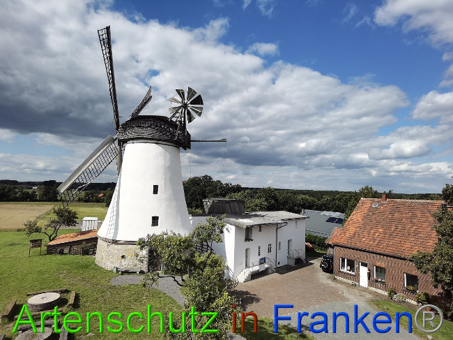 © Artenschutz in Franken® / Vennemann Bild zum Eintrag (1029377-160)