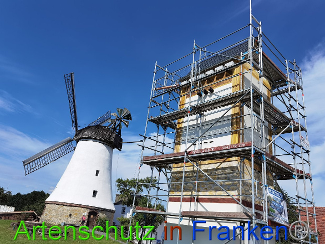 © Artenschutz in Franken® / Vennemann Bild zum Eintrag (1029483-160)