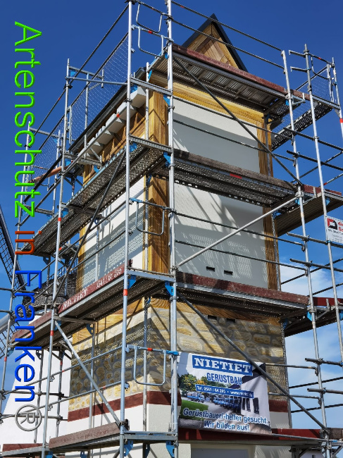 © Artenschutz in Franken® / Vennemann Bild zum Eintrag (1029484-160)