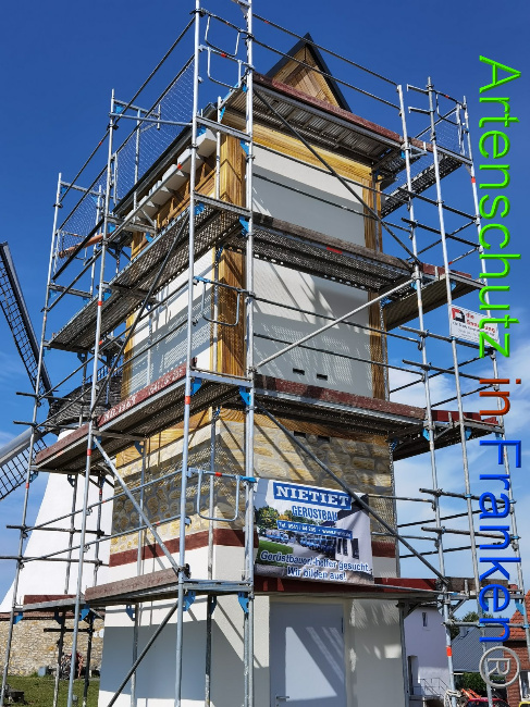 © Artenschutz in Franken® / Vennemann Bild zum Eintrag (1029486-160)