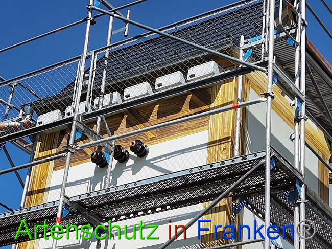 © Artenschutz in Franken® / Vennemann Bild zum Eintrag (1029488-160)
