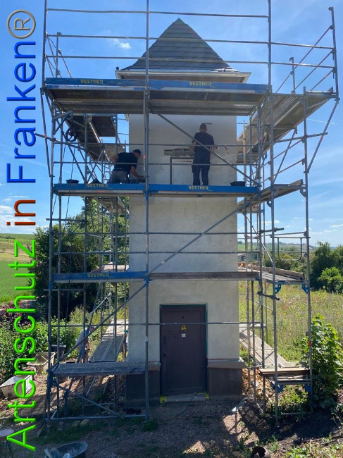 © Artenschutz in Franken® / Keber Bild zum Eintrag (1029860-160)